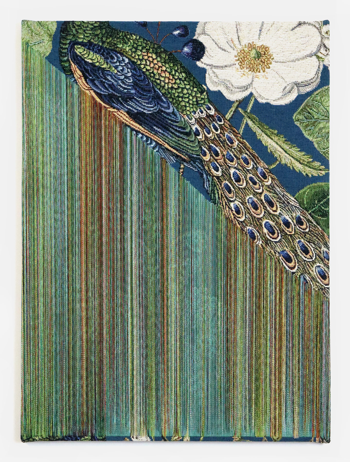 Fragile Surface – Blue Peacock (24-01)