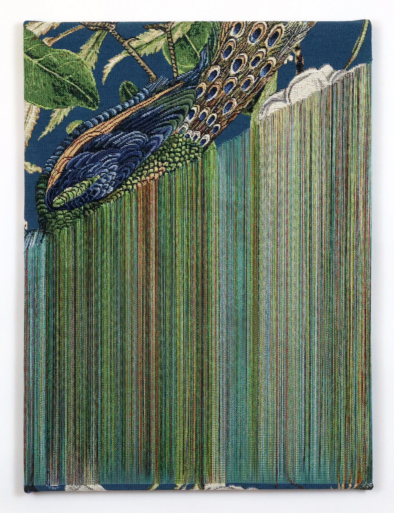 Fragile Surface – Blue Peacock 8