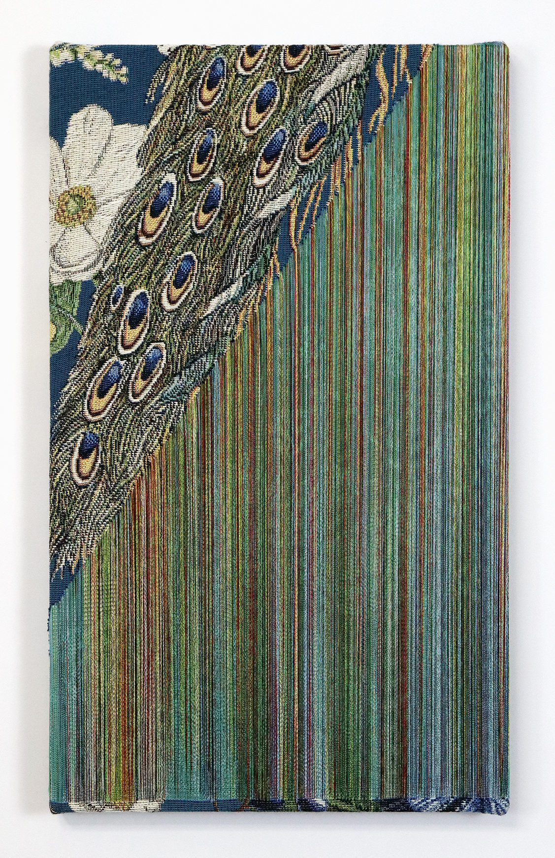 Fragile Surface – Blue Peacock 7